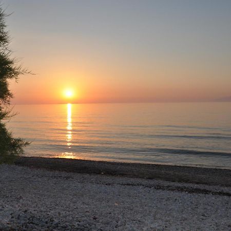 Corfu  Tassos Apartments מראה חיצוני תמונה